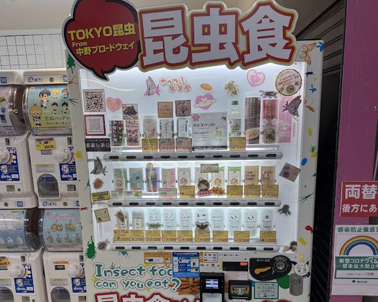 HALショップ別館　昆虫食自販機