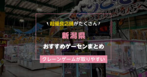 【新潟県】おすすめゲーセンランキングTOP19!クレーンゲームが取りやすいゲームセンターまとめ!